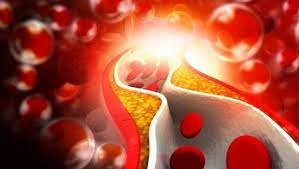 Il ruolo della Vitamina D per la salute delle Ossa