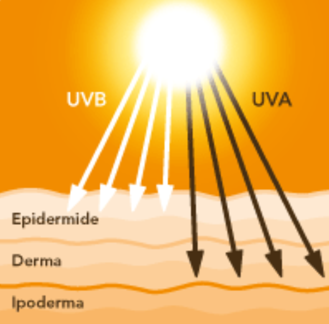 Proteggi la tua pelle dal sole con gli integratori solari: prevenzione e benessere
