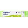 AGRAPHIS NUTANS*5CH 80GR 4G - Farmaciapacini.it