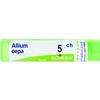 ALLIUM CEPA BOI*5CH GR 4G - Farmaciapacini.it