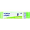 BERBERIS VULGARIS*5CH 80GR 4G - Farmaciapacini.it