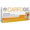 CARFOGIL 30 COMPRESSE - Farmaciapacini.it