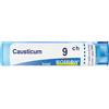 CAUSTICUM*9CH 80GR 4G - Farmaciapacini.it