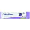 COLIBACILLINUM 30CH GLOBULI - Farmaciapacini.it