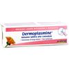 DERMOPLASMINE BALSAMO LABBRA RIPARATORE E NUTRIENTE 10 G - Farmaciapacini.it
