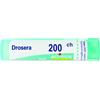 DROSERA*200CH 80GR 4G - Farmaciapacini.it