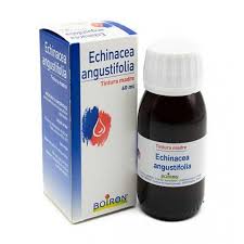 ECHINACEA BOIRON ESTRATTO IDROALCOLICO 60 ML - Farmaciapacini.it