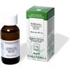 ECHINACEA ANG 60ML TINTURA MADRE - Farmaciapacini.it