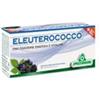 ELEUTEROCOCCO 12 FLACONCINI X 10 ML - Farmaciapacini.it