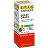 EPID BARRIERA SPRAY NO ALCOOL 15ML - Farmaciapacini.it