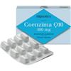 ERBAMEA COENZIMA Q10 100 MG 24 CAPSULE VEGETALI - Farmaciapacini.it