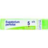 EUPATORIUM PERFOLIATUM*5CH80GR - Farmaciapacini.it