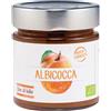 COMPOSTA ALBICOCCA 250 G - Farmaciapacini.it