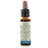 FIORI DI BACH 19 LARCH 10 ML DI LEO - Farmaciapacini.it