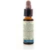 FIORI DI BACH 31 VERVAIN 10 ML DI LEO - Farmaciapacini.it