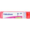 FOLLICULINUM 7CH GRANULI - Farmaciapacini.it