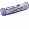 GELSEMIUM SEM BOI*30CH GR 4G - Farmaciapacini.it
