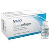 GUNA-COLLAGEN 10 VIALS 2ML - Farmaciapacini.it