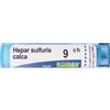 HEPAR SULFURIS CALC*9CH 80GR - Farmaciapacini.it