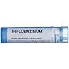 INFLUENZINUM 200CH GLOBULI 1 DOSE 1G - Farmaciapacini.it