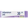 INFLUENZINUM 7CH GLOBULI 1 DOSE 1G - Farmaciapacini.it