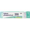 KALIUM PHOSPHORICUM*200CH 80GR - Farmaciapacini.it