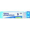 KALIUM PHOSPHORICUM*9CH 80GR - Farmaciapacini.it