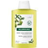 KLORANE SHAMPOO CEDRO 200 ML - Farmaciapacini.it