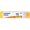 LACHESIS MUTUS 15 CH GRANULI - Farmaciapacini.it