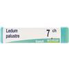 LEDUM PALUSTRE 7CH GLOBULI 1G - Farmaciapacini.it