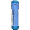 LES CASTANEA VESCA GOCCE 50 ML - Farmaciapacini.it