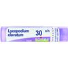 LYCOPODIUM CL BOI*30CH 80GR - Farmaciapacini.it