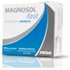 MAGNOSOL FAST 20 BUSTINE TAGLIO PREZZO - Farmaciapacini.it