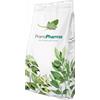 MALVA FIORI FOGLIE TAGLIO TISANA 100 G - Farmaciapacini.it