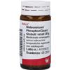 METEOREISEN PHOSPHOR QUARZ 20 G GLOBULI WALA - Farmaciapacini.it