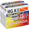 MGK VIS RICARICA PLUS 14 BUSTINE + 14 BUSTINE - Farmaciapacini.it