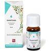 RAVINTSARA OLIO ESSENZIALE 10 ML - Farmaciapacini.it