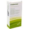 GAMMA ECHINACEA FORTE COMPOSTO 20 FIALE FISIOLOGICHE 2ML - Farmaciapacini.it