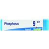 PHOSPHORUS 9CH GLOBULI 1G - Farmaciapacini.it
