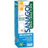 SANAGOL SPRAY FORTE ERBE BALSAMICHE 20 ML - Farmaciapacini.it