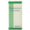 PLANTAGOPLUS COLLUTORIO 180 ML - Farmaciapacini.it