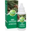 PUMILIO FORTE 40 ML - Farmaciapacini.it