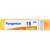 PYROGENIUM 15 CH GRANULI - Farmaciapacini.it