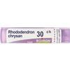 RHODODENDRON CHRYSAN 30CH GRANULI 4G - Farmaciapacini.it