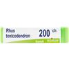 RHUS TOXICODENDRON*200CH GL 1G - Farmaciapacini.it