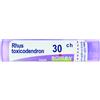 RHUS TOXICOD BOI*30CH 80GR4G - Farmaciapacini.it
