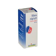 RIBES NIGRUM TINTURA MADRE 60 ML - Farmaciapacini.it