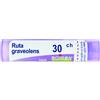 RUTA GRAVEOLENS*30CH 80GR 4G - Farmaciapacini.it