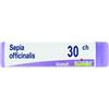 SEPIA OFFICINALIS 30 CH GLOBULI - Farmaciapacini.it