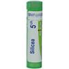SILICEA 5 CH GRANULI - Farmaciapacini.it